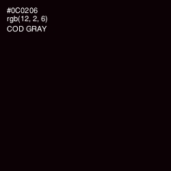 #0C0206 - Cod Gray Color Image